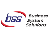 BSS Consulting